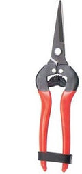 FORBICE RACCOLTA A PUNTA STARS DRITTA CM 19