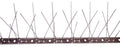 DISSUASORI PER VOLATILI 80 SPILLI 100 cm