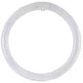 CIRCOLINA FLUORESCENTE TRIFOSFORO 22W LUCE FREDDA ATTACCO G10q