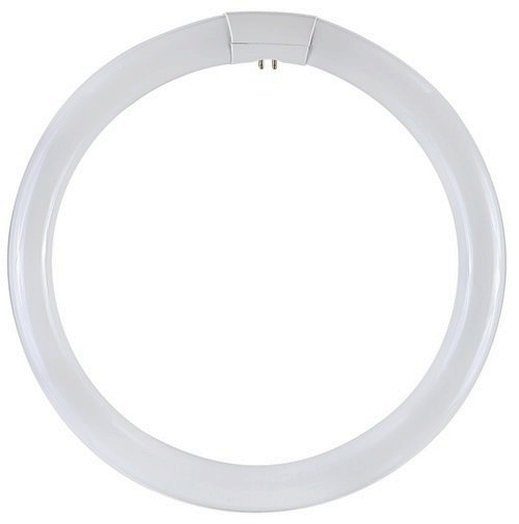 CIRCOLINA FLUORESCENTE TRIFOSFORO 22W LUCE FREDDA ATTACCO G10q