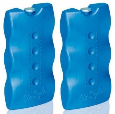 GHIACCIO SINTETICO-MATTONELLE GR.400 (PZ.2)