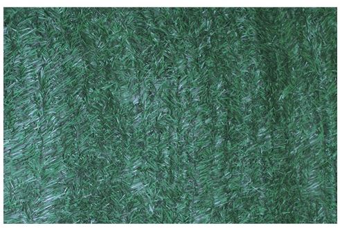 SIEPE GREEN SCREEN BRIXO - 1X3 MT.