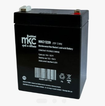 BATTERIA AL PIOMBO RICARICABILE 12V 2,9AH TERMINALE FASTON 4.8MM