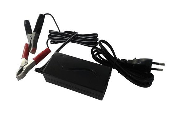 CARICABATTERIA PER BATTERIE AL PIOMBO 6/12/24 VDC 1200 MAH