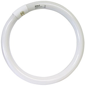 NEON CIRCOLARE TRIFOSFORO 22W LUCE FREDDA ATTACCO G10Q