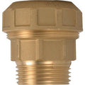 MANICOTTO A COMPRESSIONE FIL MASCHIO PN25 715 ITAP OTTONE MM 20X1/2M