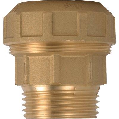 MANICOTTO A COMPRESSIONE FIL MASCHIO PN25 715 ITAP OTTONE MM 25X3/4M
