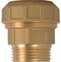 MANICOTTO A COMPRESSIONE FIL MASCHIO PN25 715 ITAP OTTONE MM 32X1"M