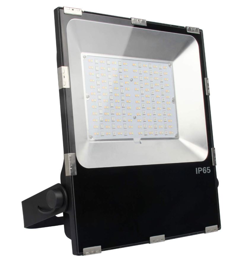 FARO ESTERNO 100 WATT CCT IP65