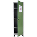 ARMADIO FITOFARMACI SMONTATO PROMETAL VERN GRIGIO/VERDE H.MM 1795 MM 500X400