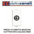 PRESA TV DIRETTA MASCHIO BIANCA ELETTROCANALI MYLIFE