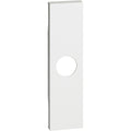 COVER PRESA TV E FALSO POLO 1 MODULO BTICINO LIVING NOW