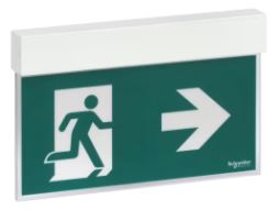 LAMPADA DI SEGNALAZIONE DI SICUREZZA