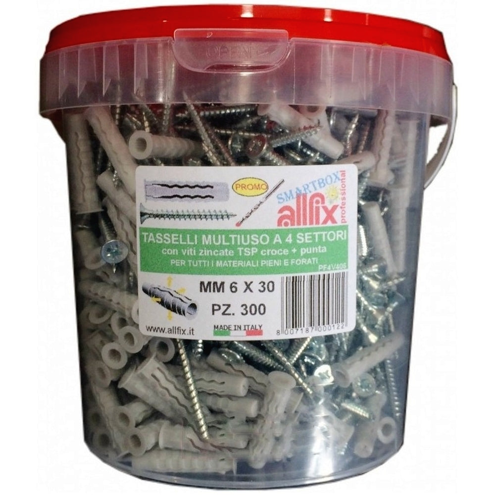 300 TASSELLI MULTIUSO A 4 SETTORI 6×30 mm CON VITE TSP CROCE + 300 PUNTE 6 mm