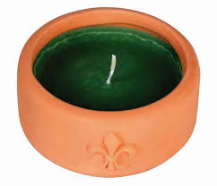 SALVIA E ROSMARINO DA ESTERNO IN VASO DI COTTO FATTO A MANO. DIAMETRO CM 10 DURATA 12 H